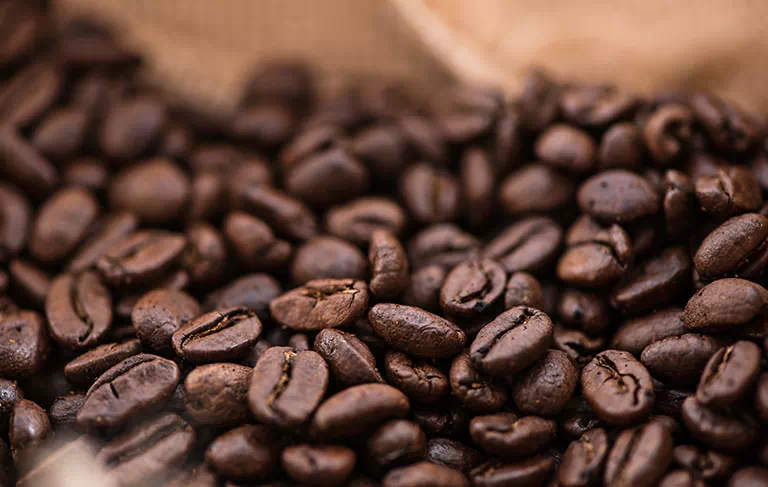 prażone ziarna kawy typu arabika